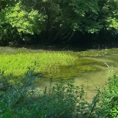Centre-ville -au1er Etage Avec 2 - 6 Personnes شقة رانس