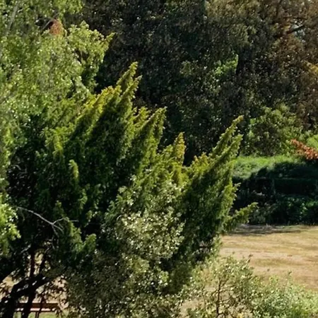 아파트 Centre-ville -au1er Etage Avec 2 - 6 Personnes 랭스